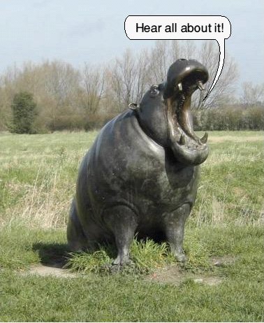 Hippo, North Town Moor